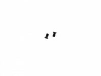 Awesomatix Damper Screw (2) ST122 - RCXX - rc racing for professionals